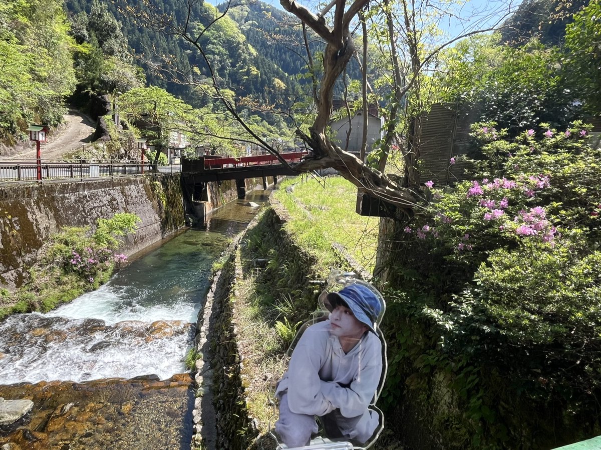 Maty_to_be's tweet photo. 推しのアクキーとおでかけ♨️
スラムダンク好きな友人が湯来まで来たらぜひ行ってみたいとこのことでみどり荘へ🏀
スラムダンクで好きなキャラクターは花形です👓
#フーミードゥショコラの缶 https://t.co/uP0oZtDD6b