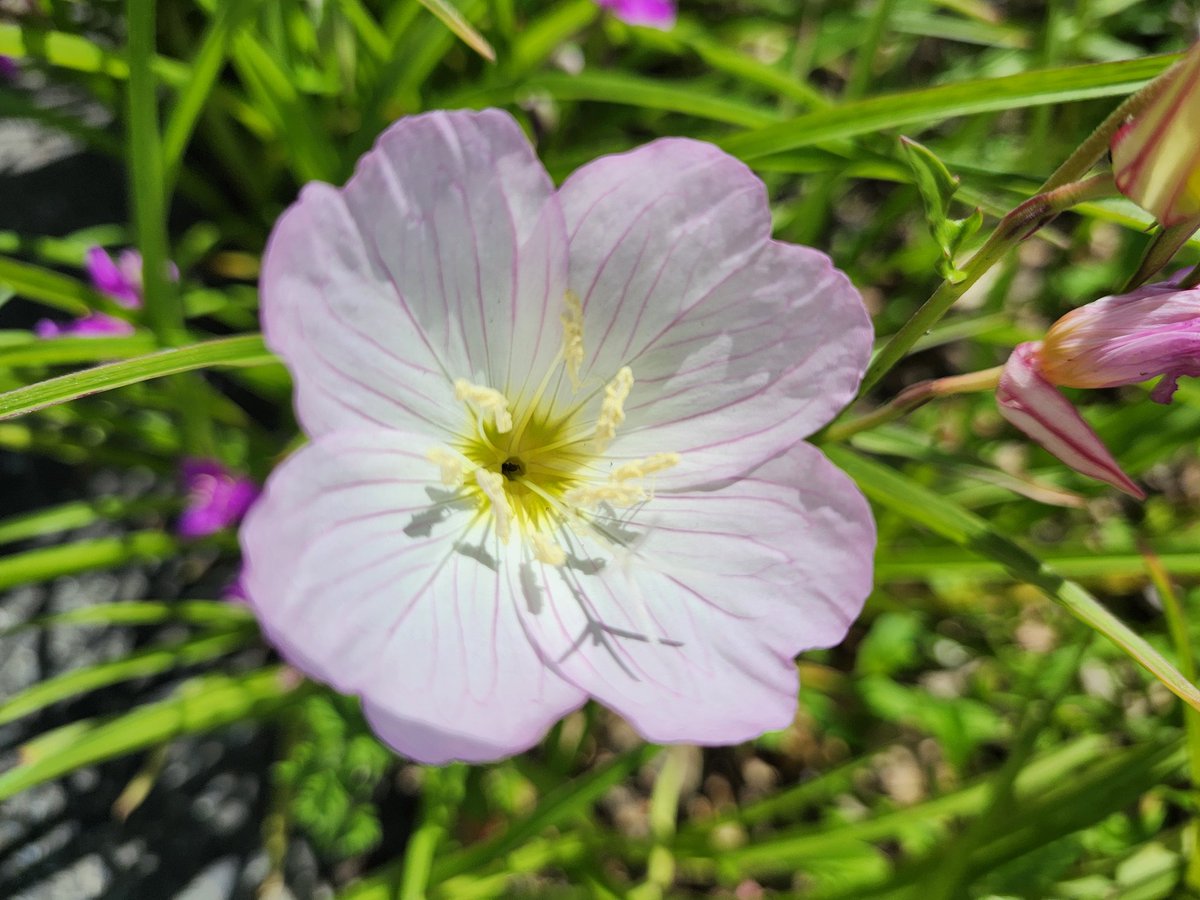 るんりん tweet media