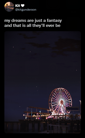 flapjack 🐄🌒 tweet media