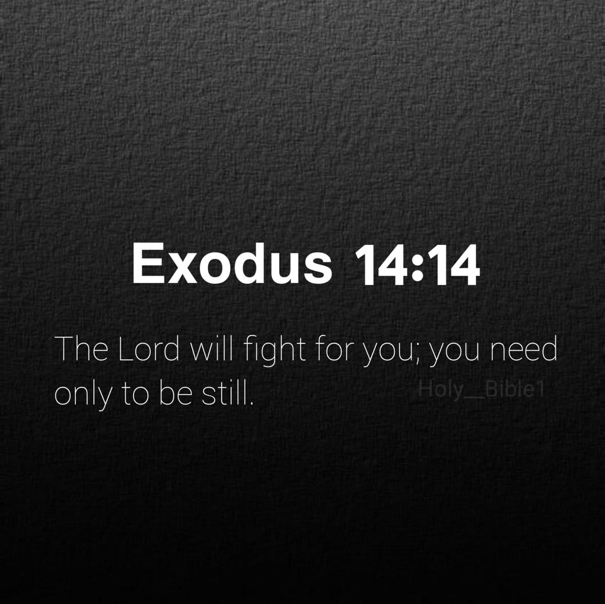 Holy Bible tweet media