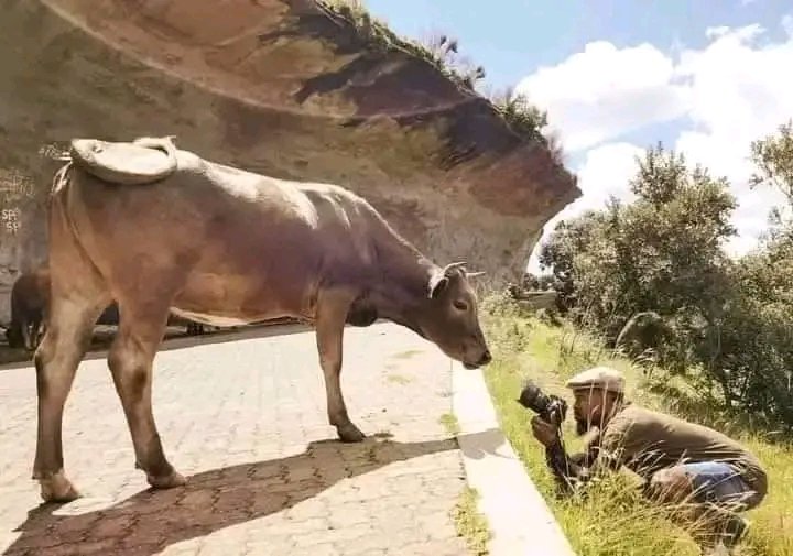 MaSodi ❤️❤️ tweet media