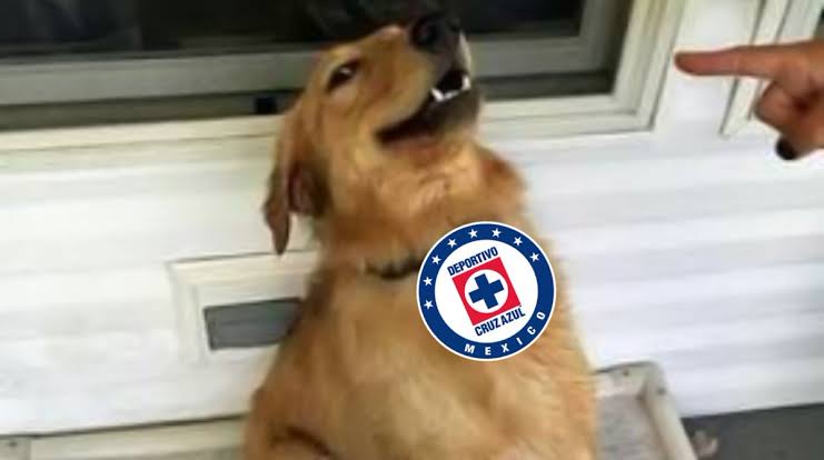 Vas de local contra el 15 de la tabla. Ya no se disputan nada. No juega Alexis Peña. Está en tus manos cerrar los cuartos de local, ganar el MDD para un refuerzo el próximo semestre...

Cruz Azul, por favor