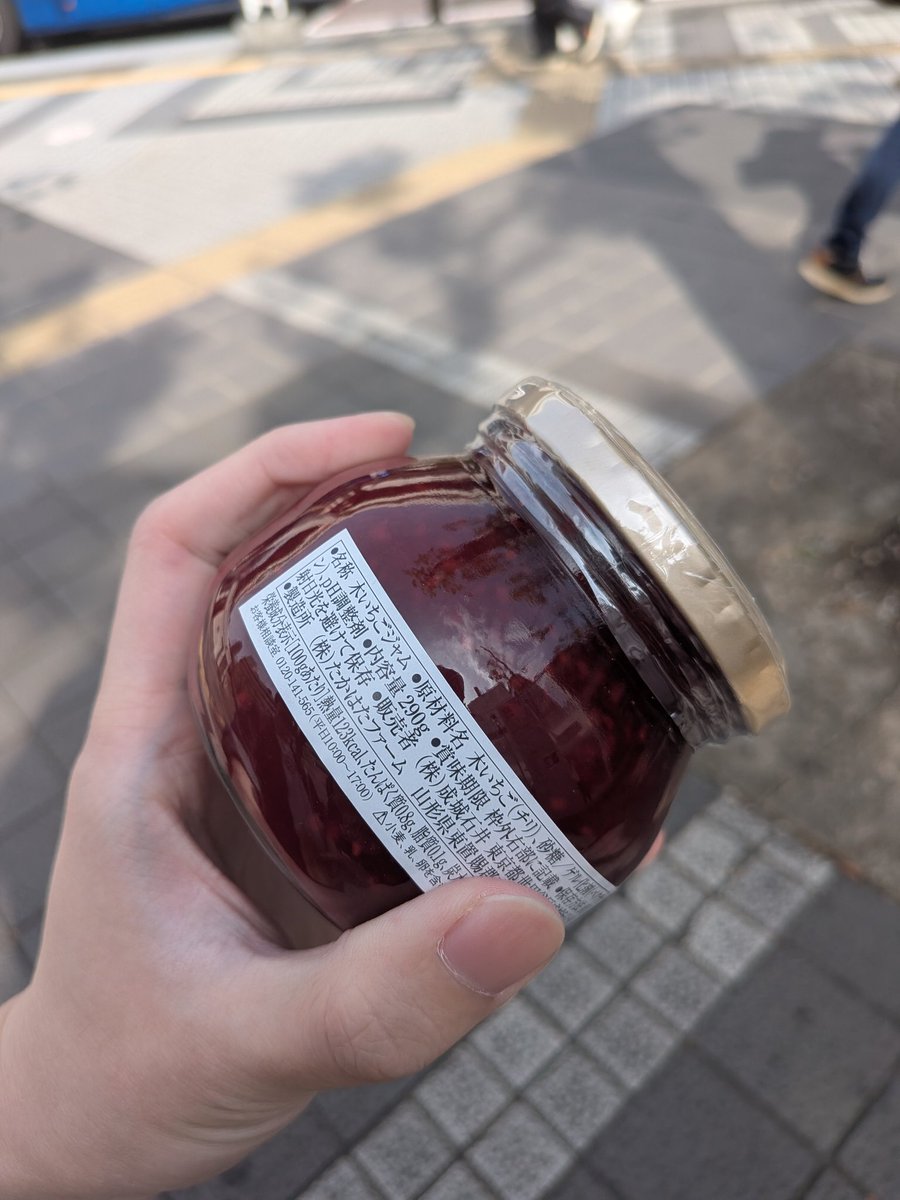 何をしに行く方？