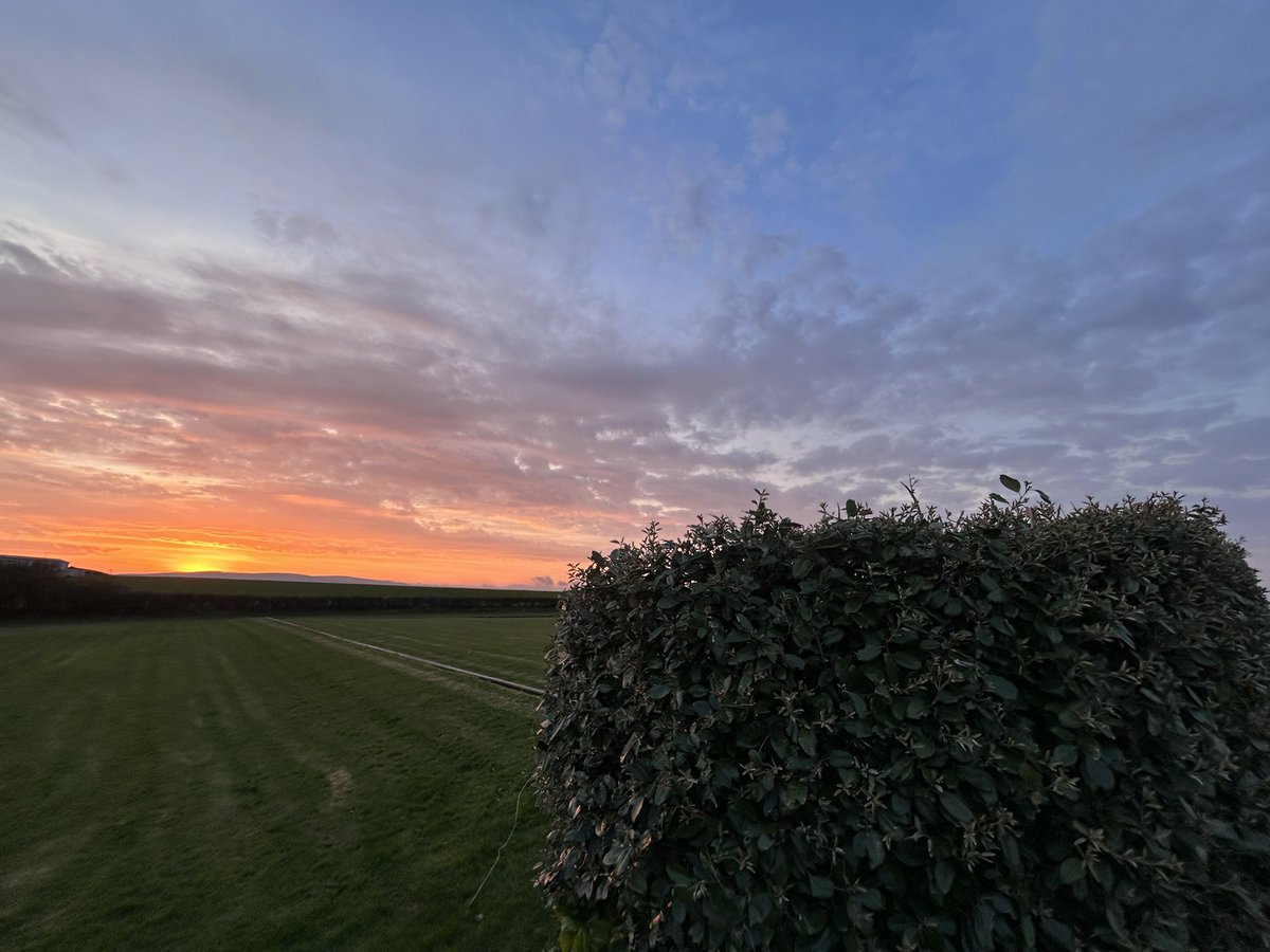 sphoenix78's tweet image. Time out to appreciate my morning gifts… sunrises, sheep and Ted walks! The perfect antidote to a busy week. Grateful beyond measure. #Gratitude