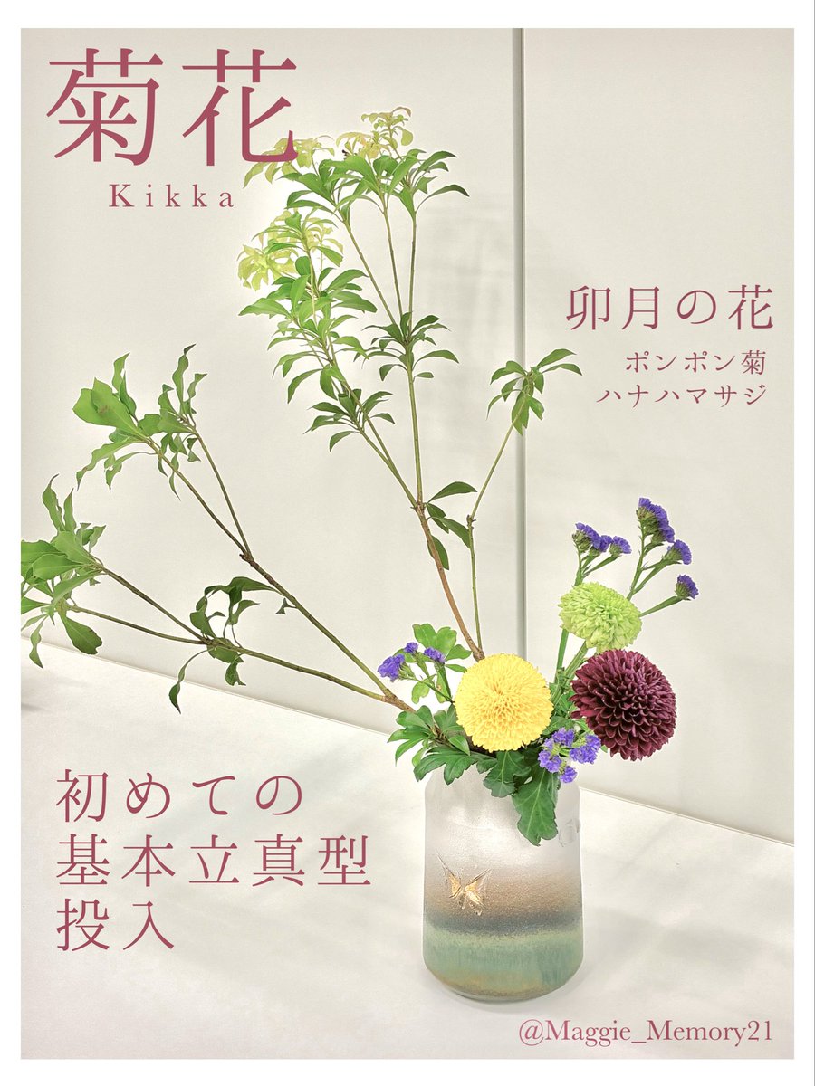 𝙼𝚊𝚐𝚐𝚒𝚎💐 tweet media