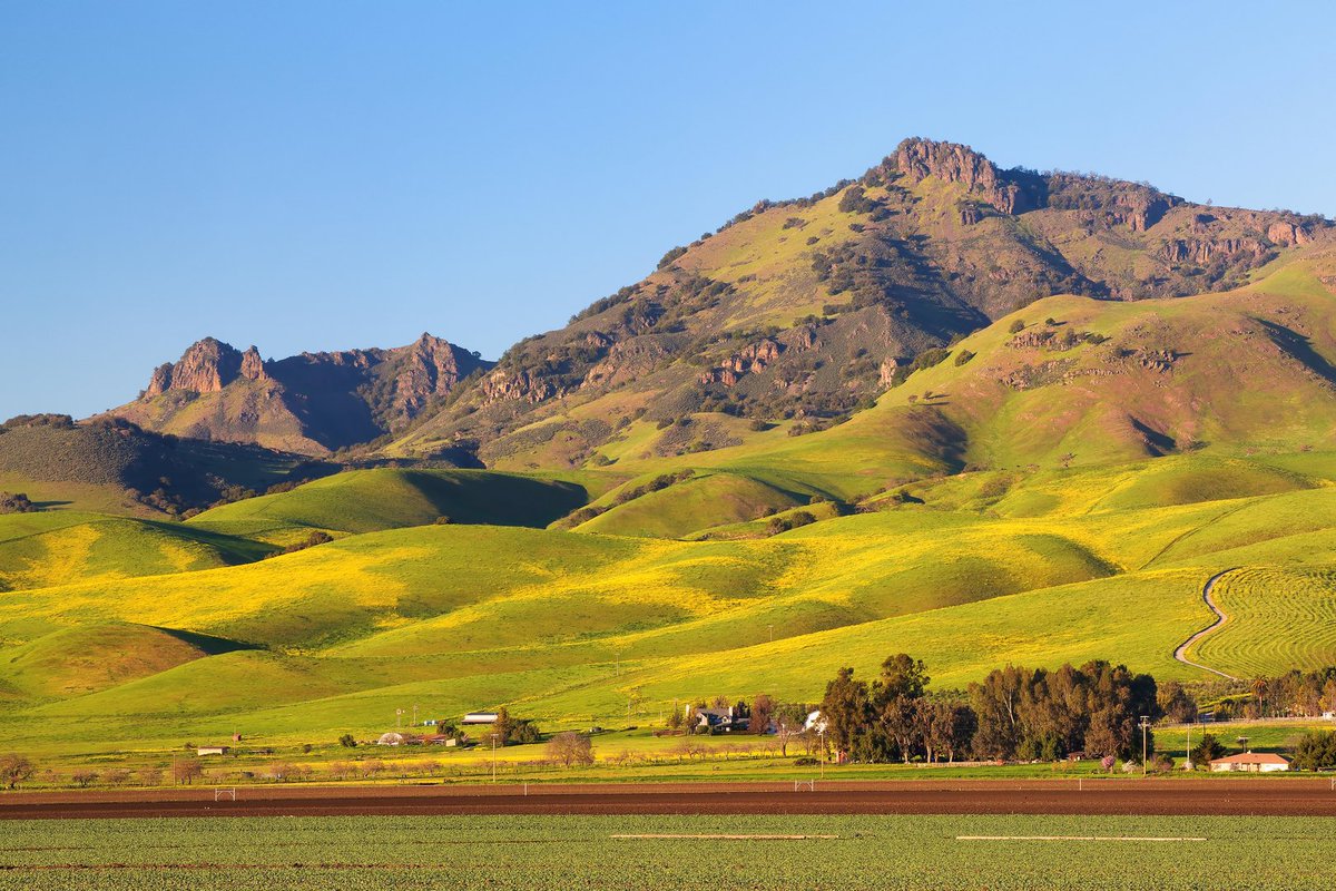 Zaki_Properties's tweet photo. San Benito County votes June 2 on replacing its $3-$17/sq ft cannabis tax with a $1,000-$10,000/acre structure.

At $2,000/acre, a 100-acre operator pays $200K. Same acreage in Lake County: $2.26M.

Full analysis: https://t.co/X1GntXsHGw https://t.co/mkhH3xpHE3