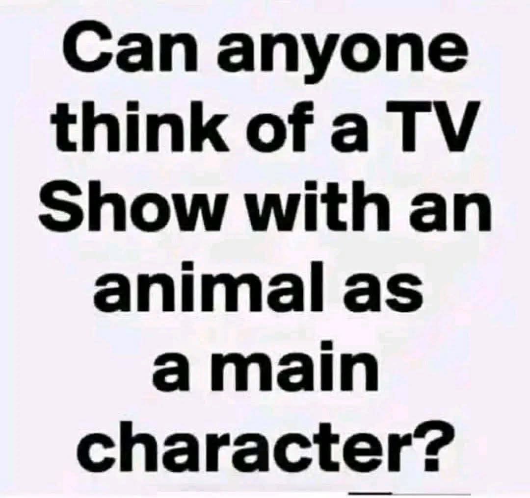 Lily Rosewood tweet media