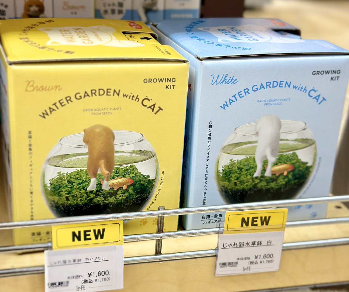 猫と金魚のかわいいワンシーンを再現した水草栽培キット『じゃれ猫水草