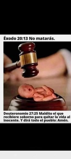 ✝Majha ✝🌹✝ Hail Mary✝ tweet media