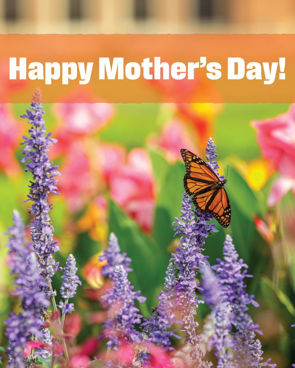 OSUFoundation's tweet photo. This Mother’s Day, honor the person who shaped your life with a gift that answers the call to make a difference. Support an area at @okstate that reflects her passions and values.

Give today: https://t.co/CNn9tYBG9b

#okstate | #TheCodeCalls https://t.co/pMglFomf0b