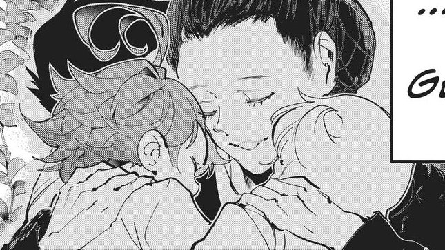 Daily noremma ノマエマ 🌙☀️ tweet media