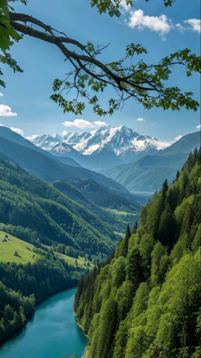 Beauty Of Earth tweet media