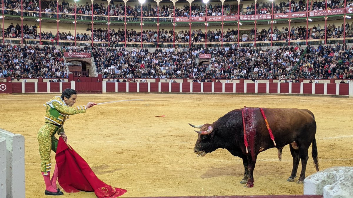 José Tomás tweet media