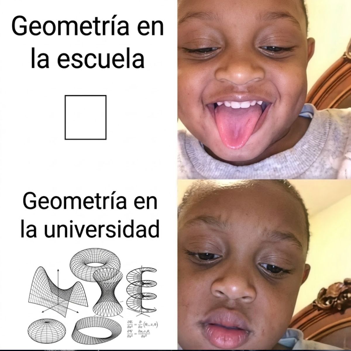 Enséñame de Ciencia tweet media