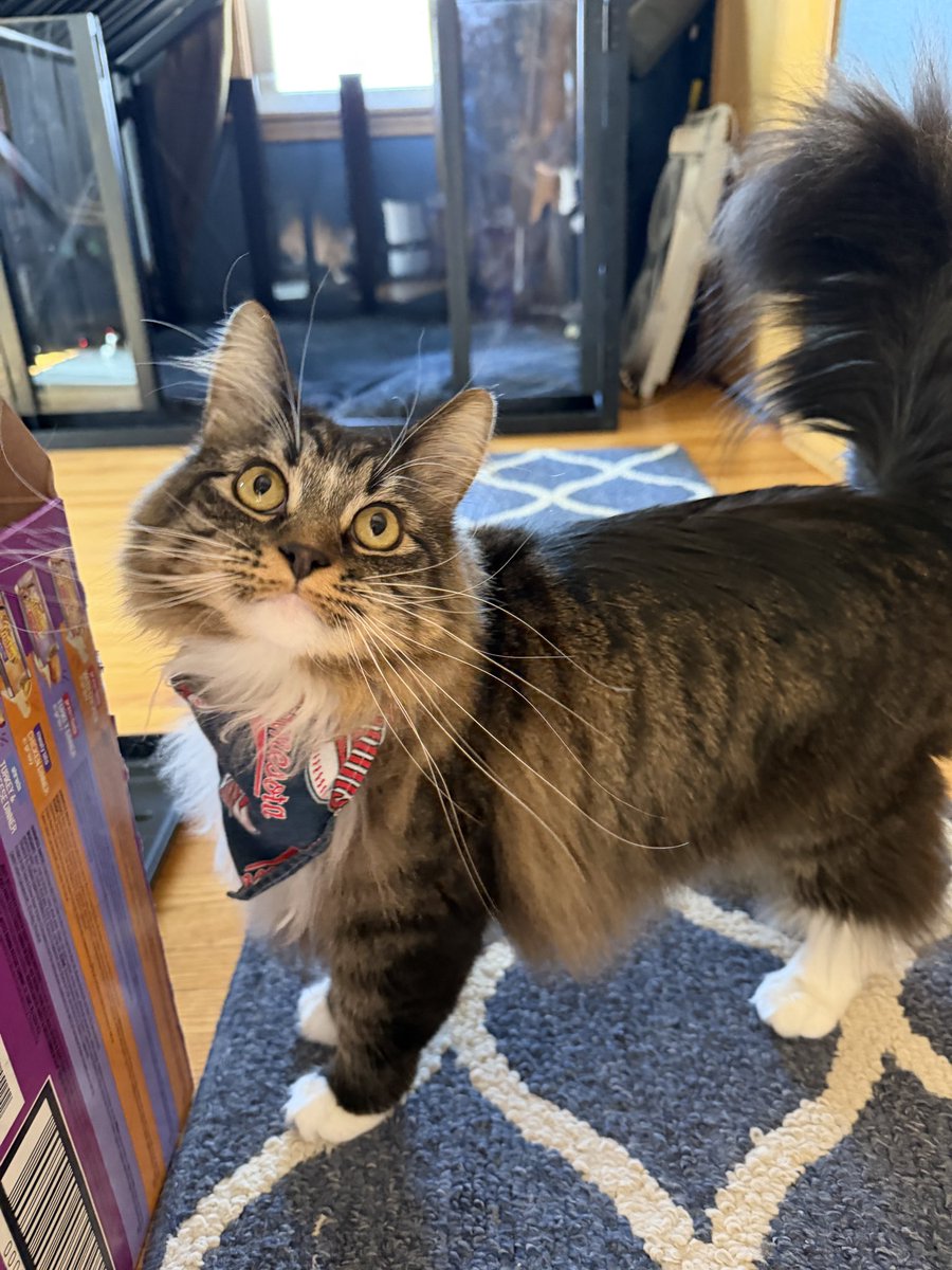 Freddie & Smokey tweet media