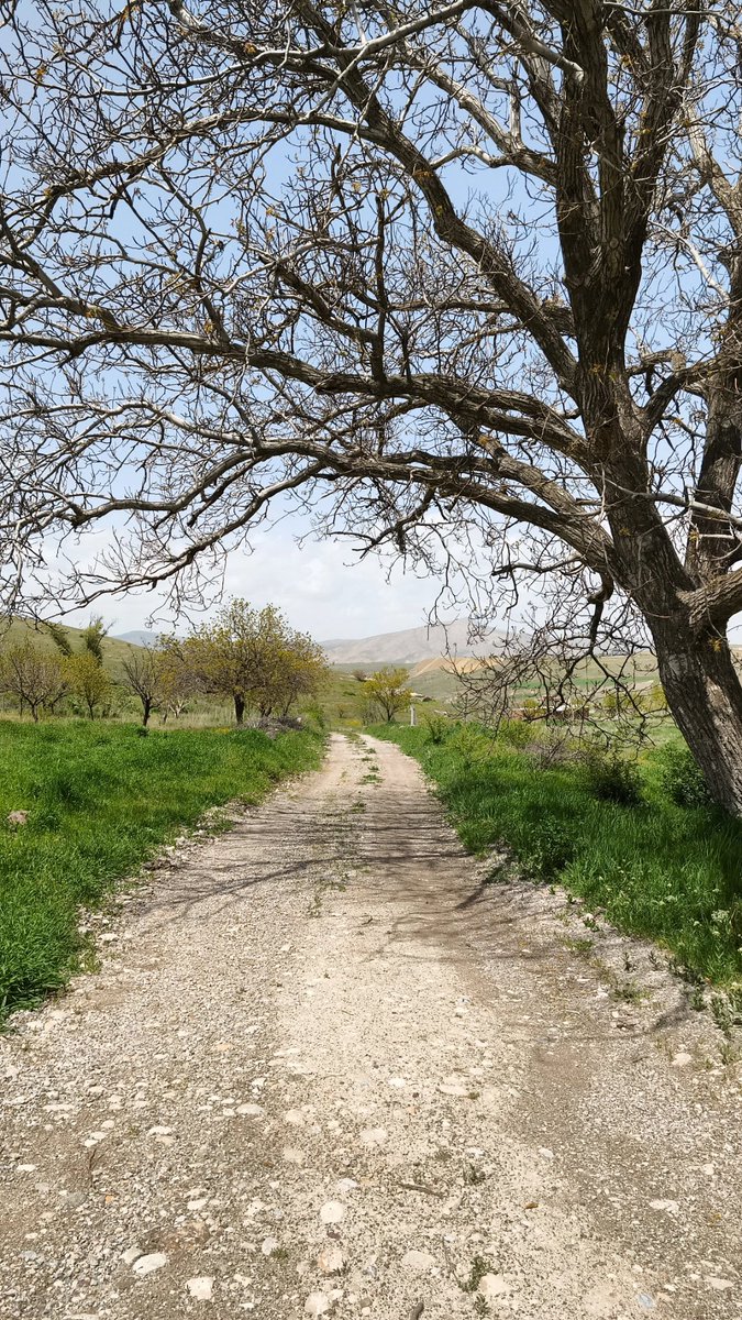 fnururuc's tweet photo. Köy günlüğü 🌿 https://t.co/W2bAzogWdO