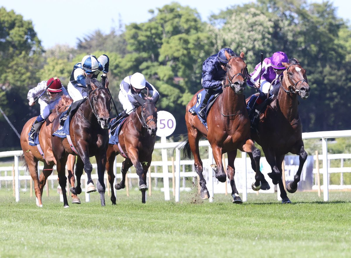 Leopardstown RC tweet media