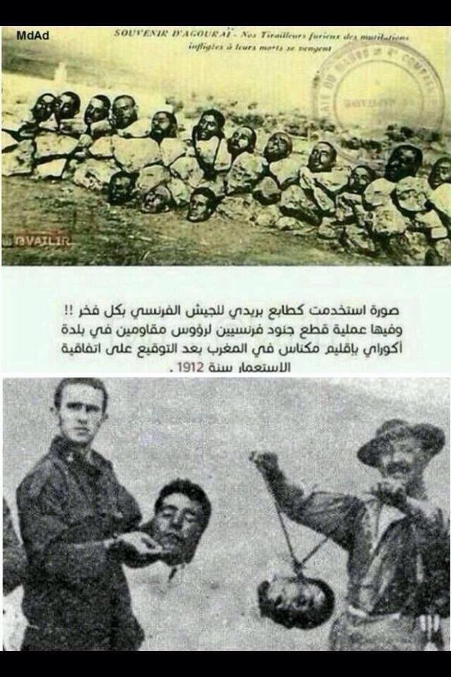 عبدالله بن محمد الإدريسي tweet media