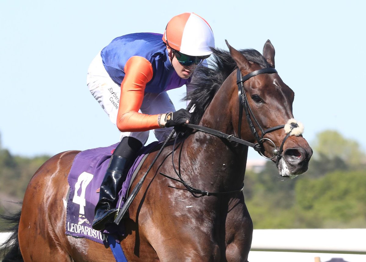 Leopardstown RC tweet media