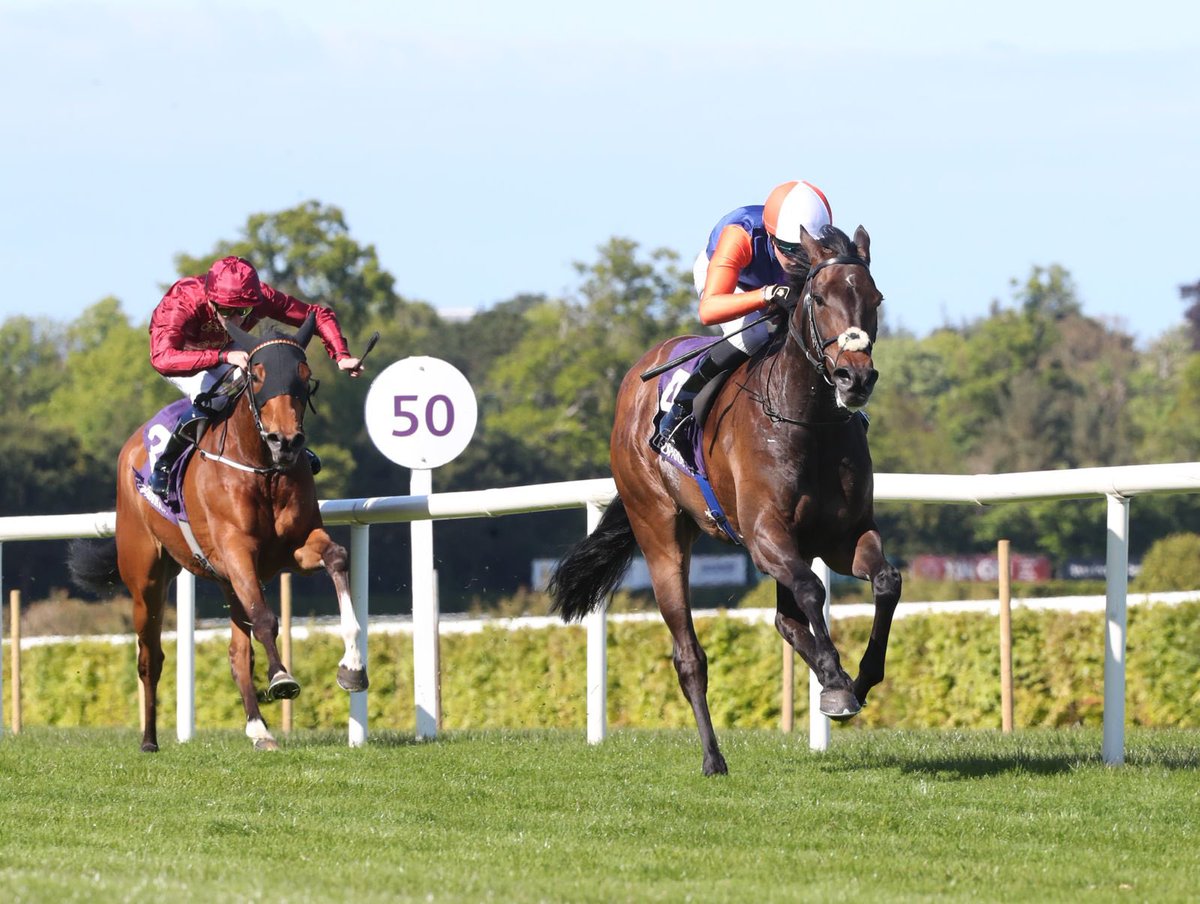 Leopardstown RC tweet media