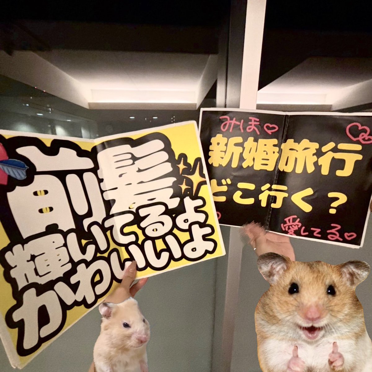 m2__luvx's tweet photo. ♡2o26.o5.1o♡

東京公演ありがとうございました♡衣装大天才ありがとう(◞ ̫◟)🤝🏻終始みほちゃんにめろめろだったよー🙀
セトリも良すぎて💧みほちゃんのライブほんとにだいすき
次はアーティスト5周年たくさん応援するね( ᴗ̀ ̫ᴗ́ )❤︎

みほ♡新婚旅行どこ行く？♡
 #岡咲美保  #おみほはいいぞ https://t.co/owYPhmGlvZ