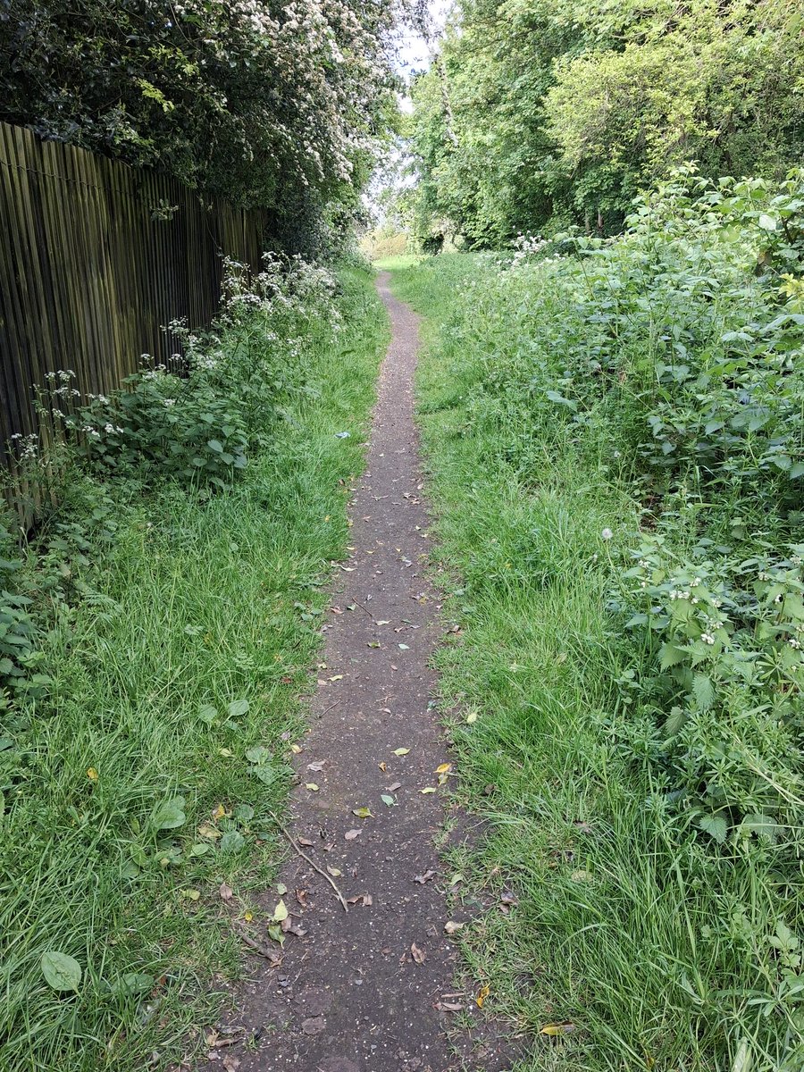 Traceyspacey1's tweet photo. Sunday afternoon walk https://t.co/8Idu8NQhej