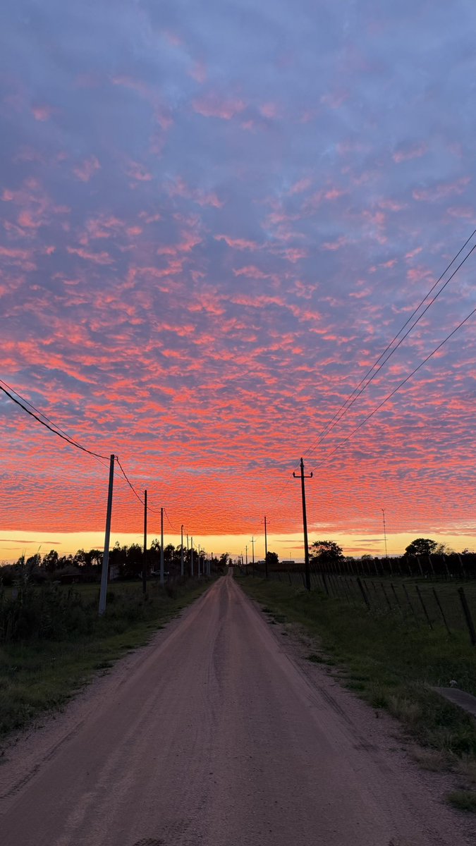 BrunoAber's tweet photo. Sin filtro https://t.co/eU9hMvIrnx