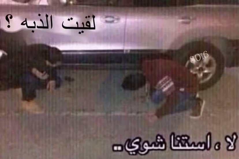 . tweet media
