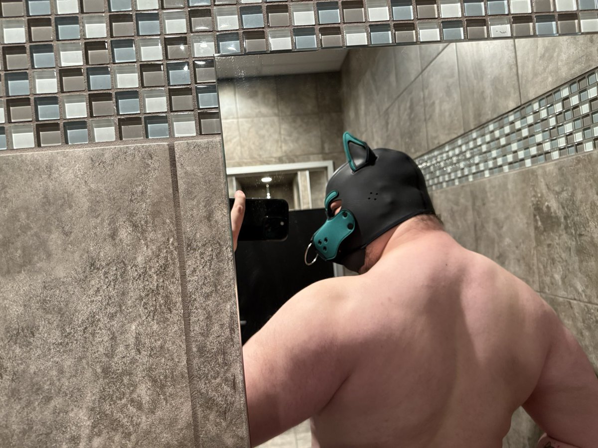 Pup Bull tweet media