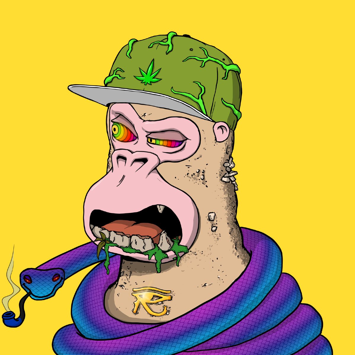 HokusBogus 🐍 tweet media