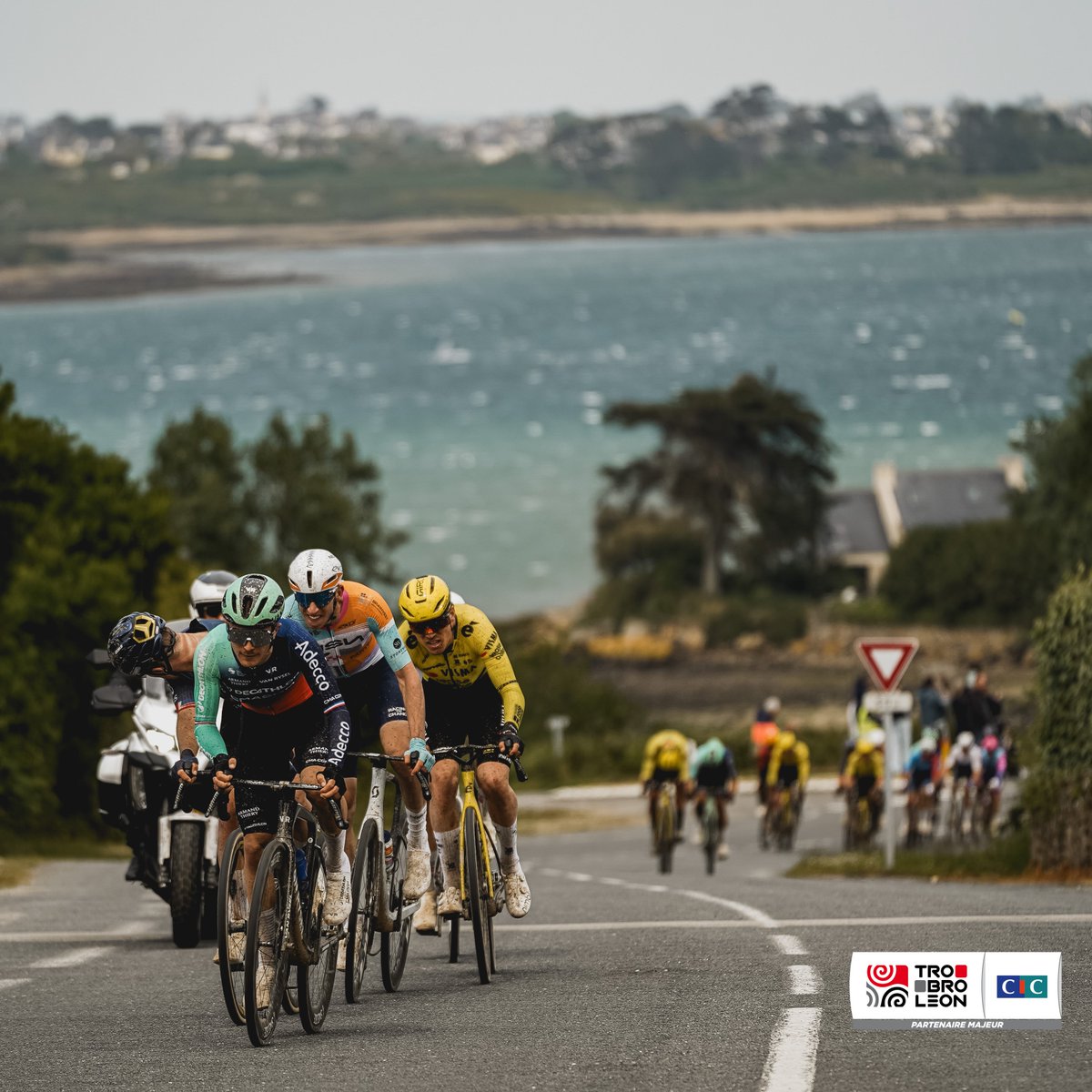 trobroleon's tweet photo. 📸 Pic of the day avec @CICmondedusport 

#TroBroLeon https://t.co/i2ZKAIkFuK