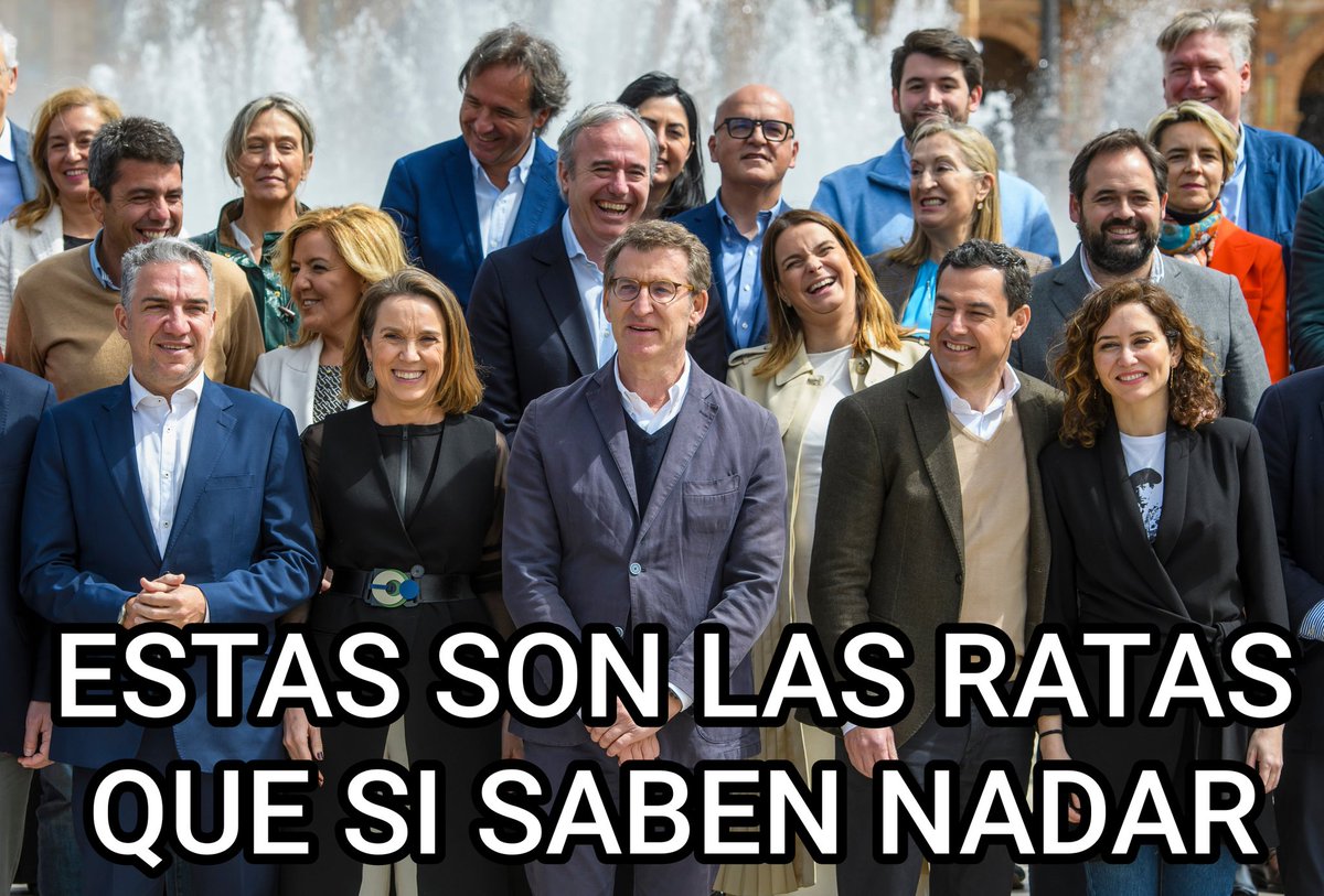 Manuel 🔻 tweet media