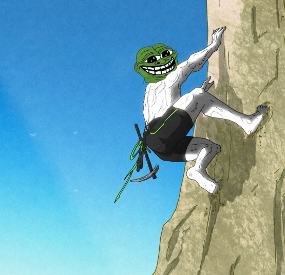 Troll Pepe tweet media