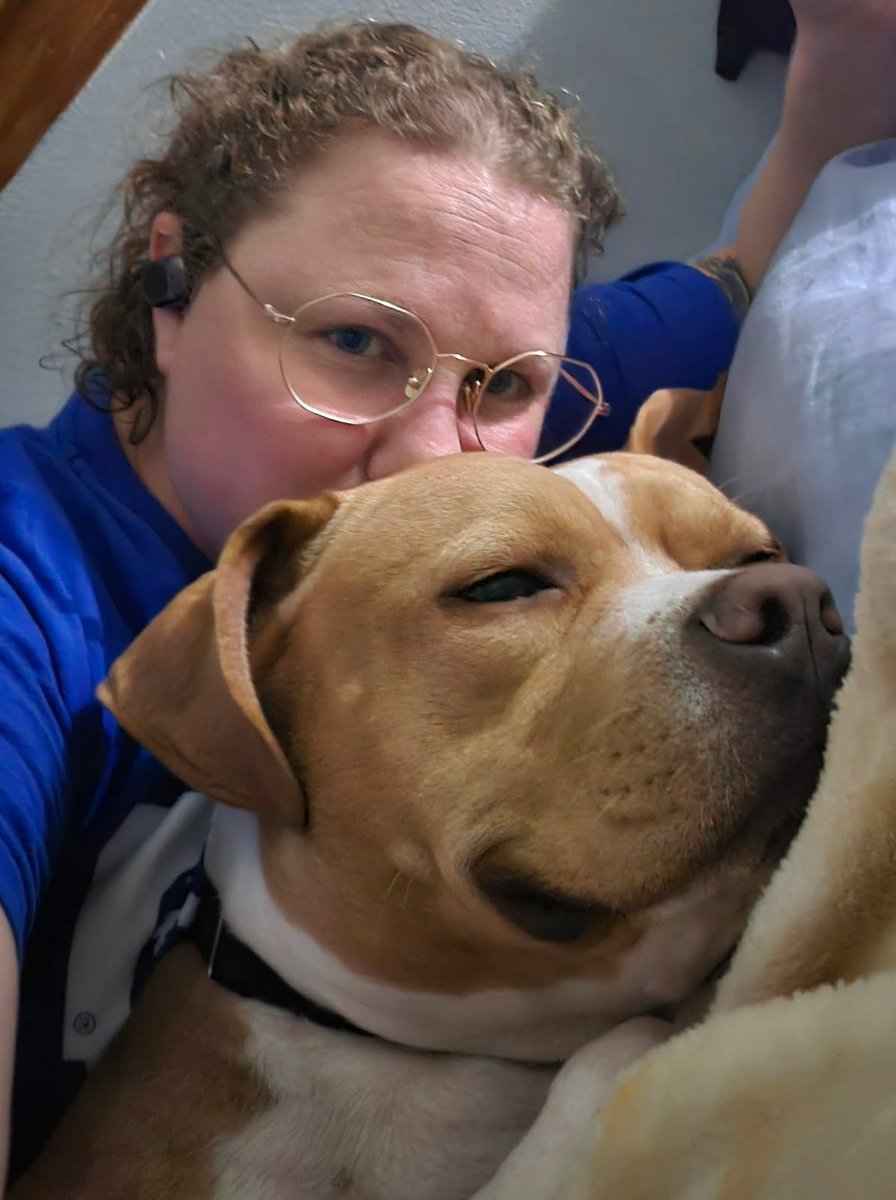 Humane Society of Missouri tweet media