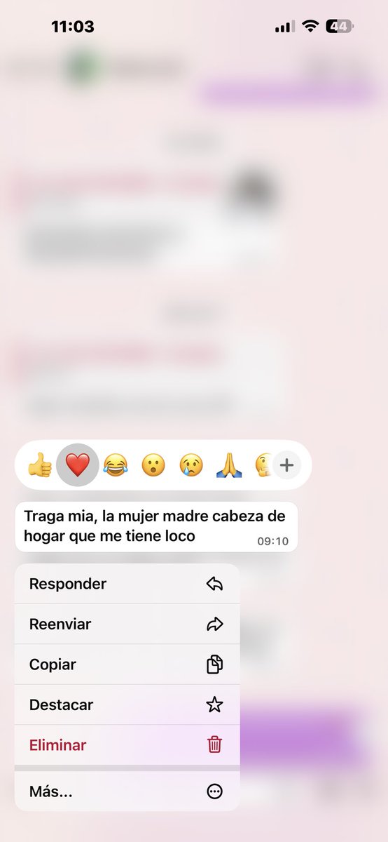Yo: nadie me va a querer con hijos 
X: …….