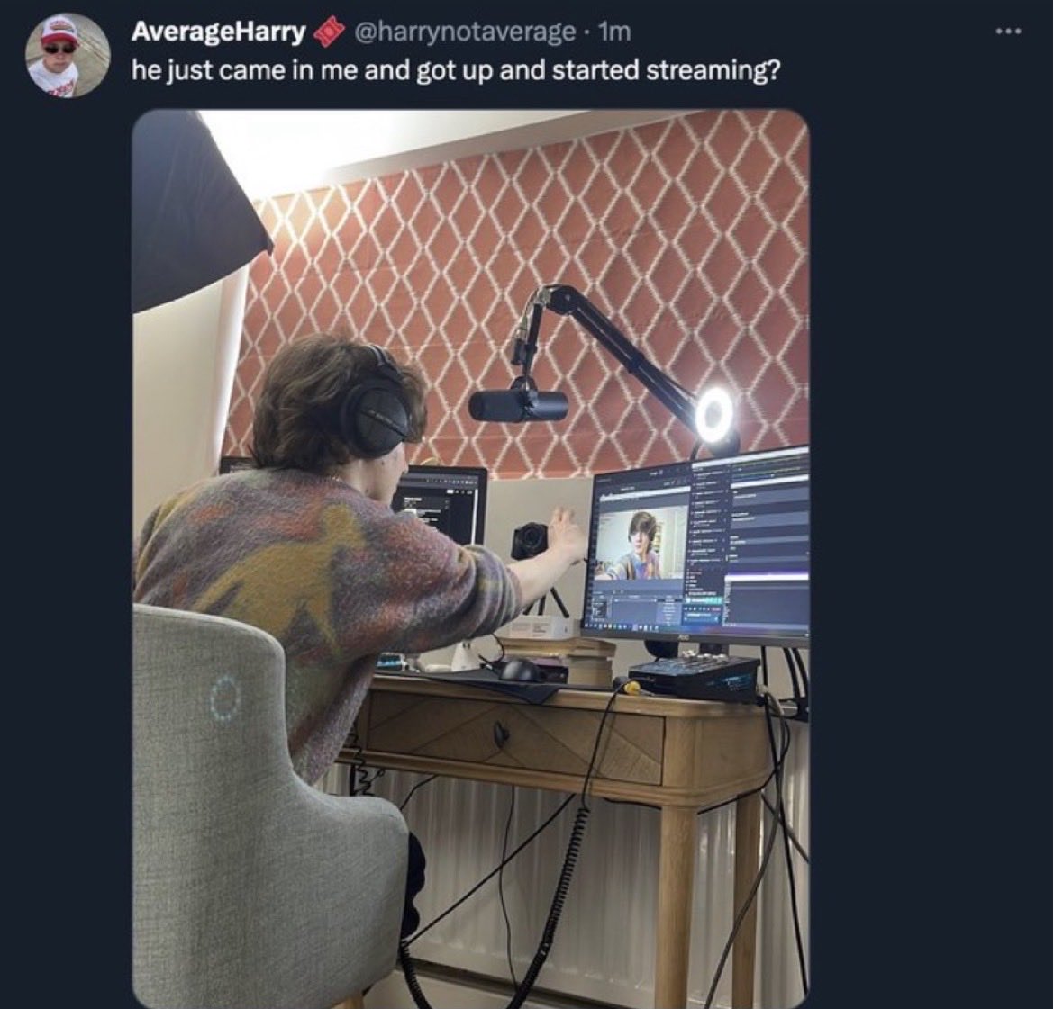 meloquix tweet media