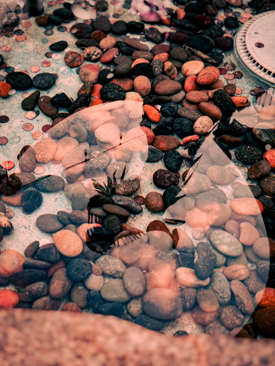 DylanScreen's tweet photo. Hey, remember when I said I’m a photographer? https://t.co/5VISTrcLDA