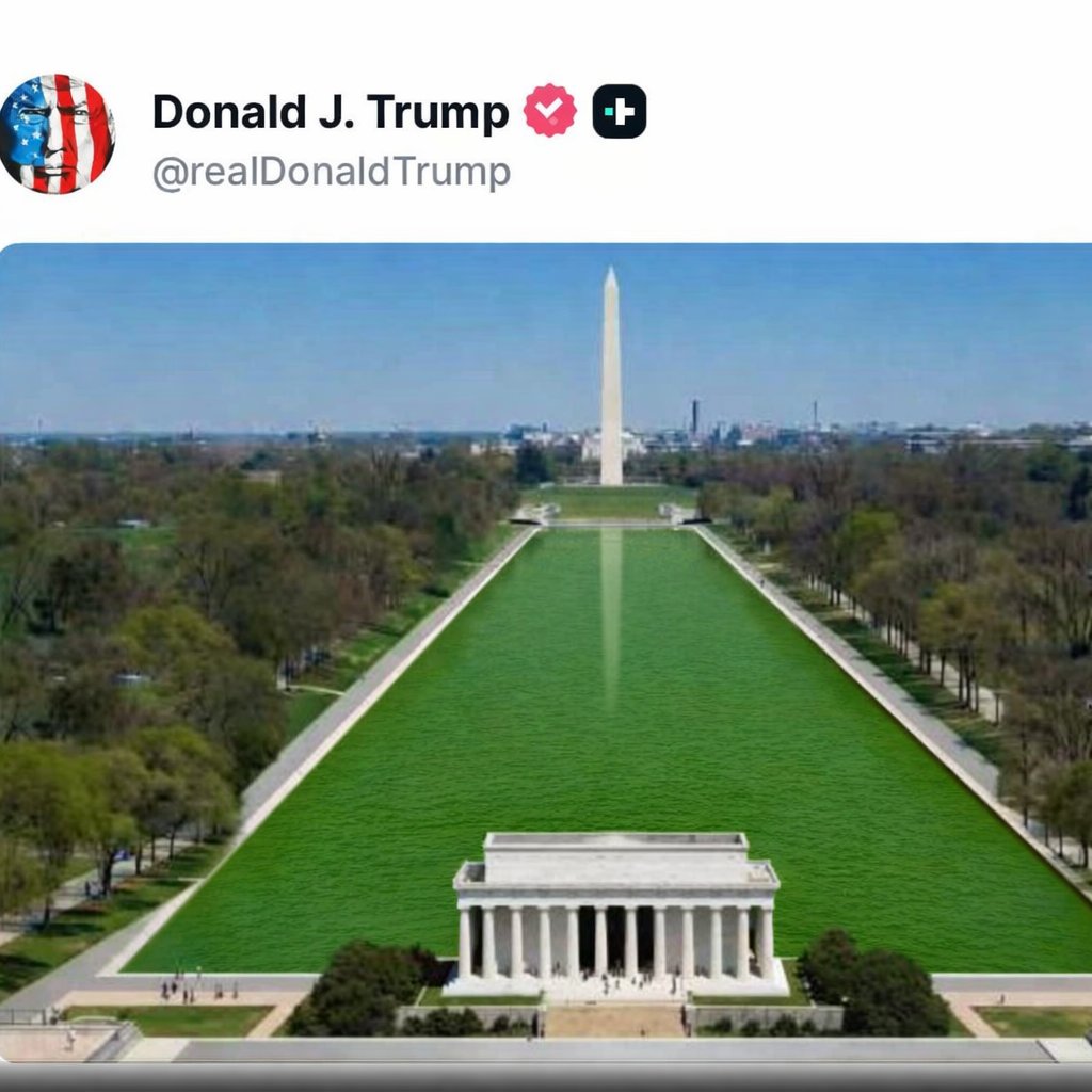 david D. tweet media