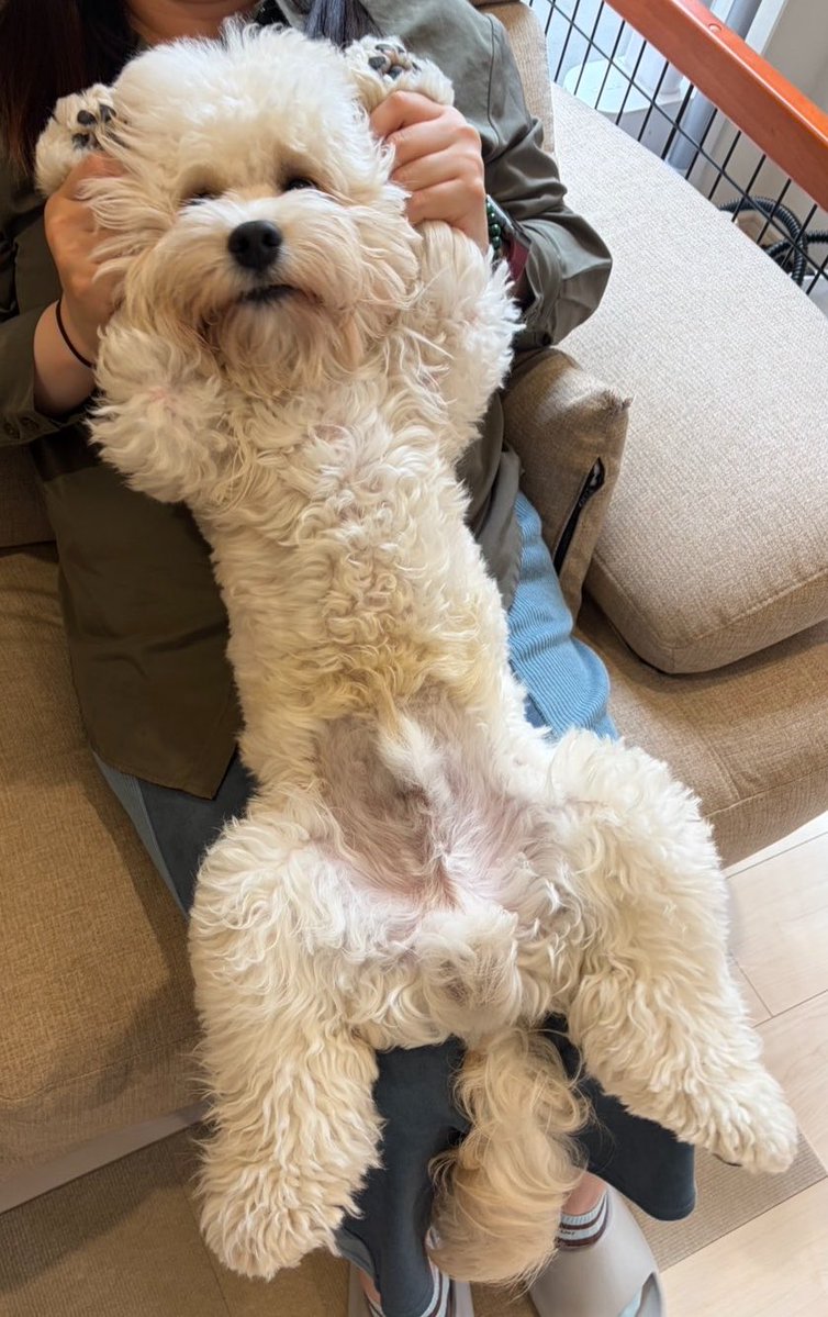 妹の友達に遊ばれてる時の写真。こっち見んな