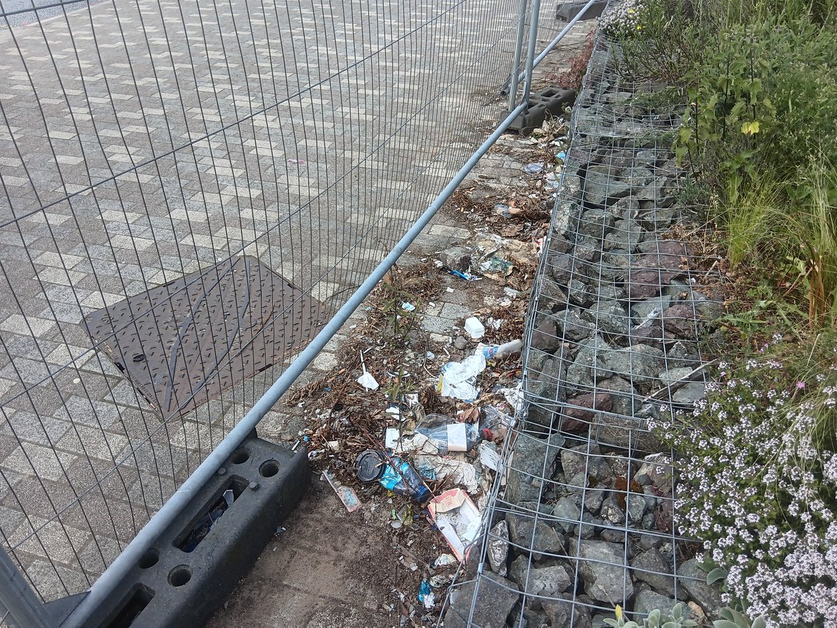 x_brum's tweet photo. Today was the day, sick and tired of walking past this caged off plot of land opposite Perry Barr Village and OneStop,strewn with litter. So I popped over with a broom, litterpicker, and tons of bags and cleared it all away. @MorriamJan @JamesHintonB42 https://t.co/jU0eOi3UUs