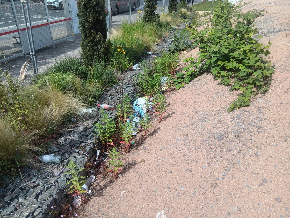 x_brum's tweet photo. Today was the day, sick and tired of walking past this caged off plot of land opposite Perry Barr Village and OneStop,strewn with litter. So I popped over with a broom, litterpicker, and tons of bags and cleared it all away. @MorriamJan @JamesHintonB42 https://t.co/jU0eOi3UUs