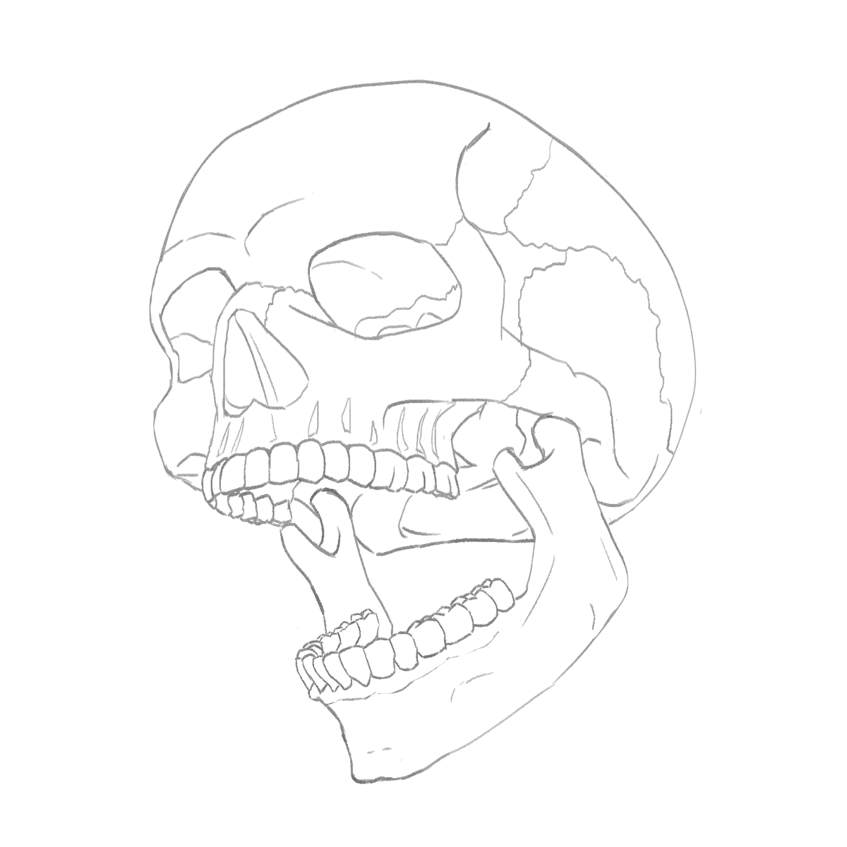 SamKaiGet's tweet photo. Bad to the bone - (skull sketch)
#artmoots #artshare https://t.co/VbUPh5VdPx