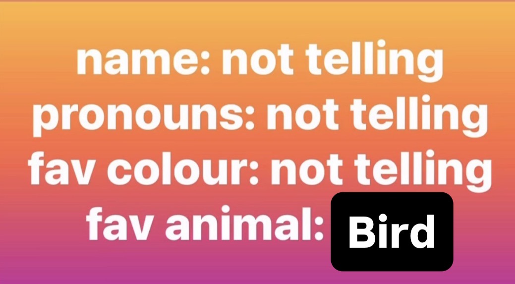 hannaH 🐦‍⬛✖️✖️ tweet media