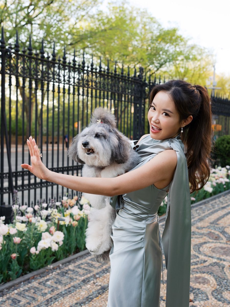 rousseaukazi's tweet photo. one of the most frequent comments on the few videos we posted about our engagement was how much people loved that blackjack (my sister's maltipoo) matched the bride-to-be.

honestly, i found it so funny that they happen to have picked out the same dress (and that blackjack actually picked hers out first).

for any of you who know blackjack, you know that every morning she's presented two hair bows and she decides which one she gets to wear for the day. she's very particular.

the same is true for dresses and clothing. my sister got her a few dress options weeks before the engagement and blackjack decided on her dress even before shirley knew what she was going to wear to the "gala".

it's really cute just how much blackjack loves shirley. she was one of the first to run up to shirley after i proposed.