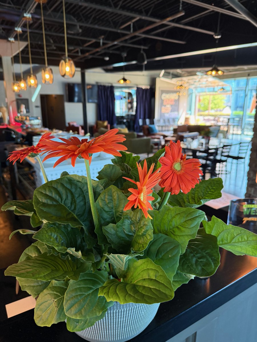 BeerStylesWDM's tweet photo. Happy Mother’s Day! 🌷🥂 Thank you to everyone who joined us for brunch today, we’re officially sold out! We’ll still be open for regular service from 12pm–8pm, and we’d love to see you later today. https://t.co/TNYkb1eo0R
