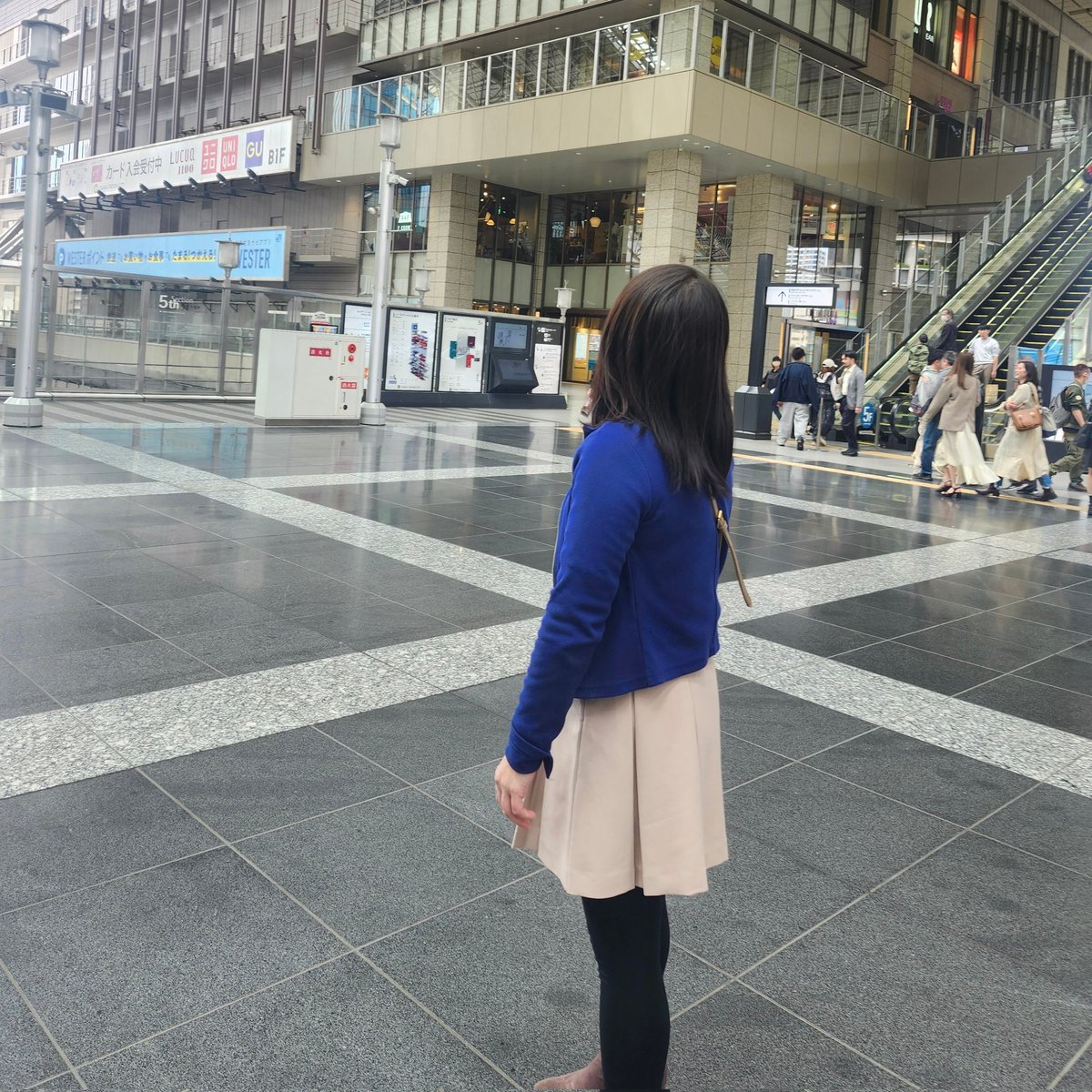 K&M@NTR夫婦(避難用) tweet media