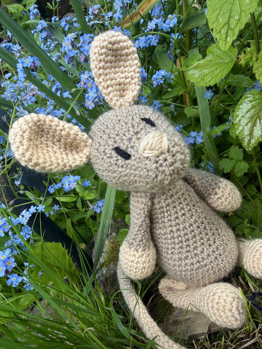 NatCBrooks's tweet photo. Grace the Jerboa looking cute amongst the forget-me-knots 🌼 Had to do this one, very close to being a degu! 🩶🐿️ Haven’t forgotten about my crochet! 🧶 @toft_uk
#craftynat83 #toftuk #gracethejerboa #crochet #degu https://t.co/ORv3bC15Z5