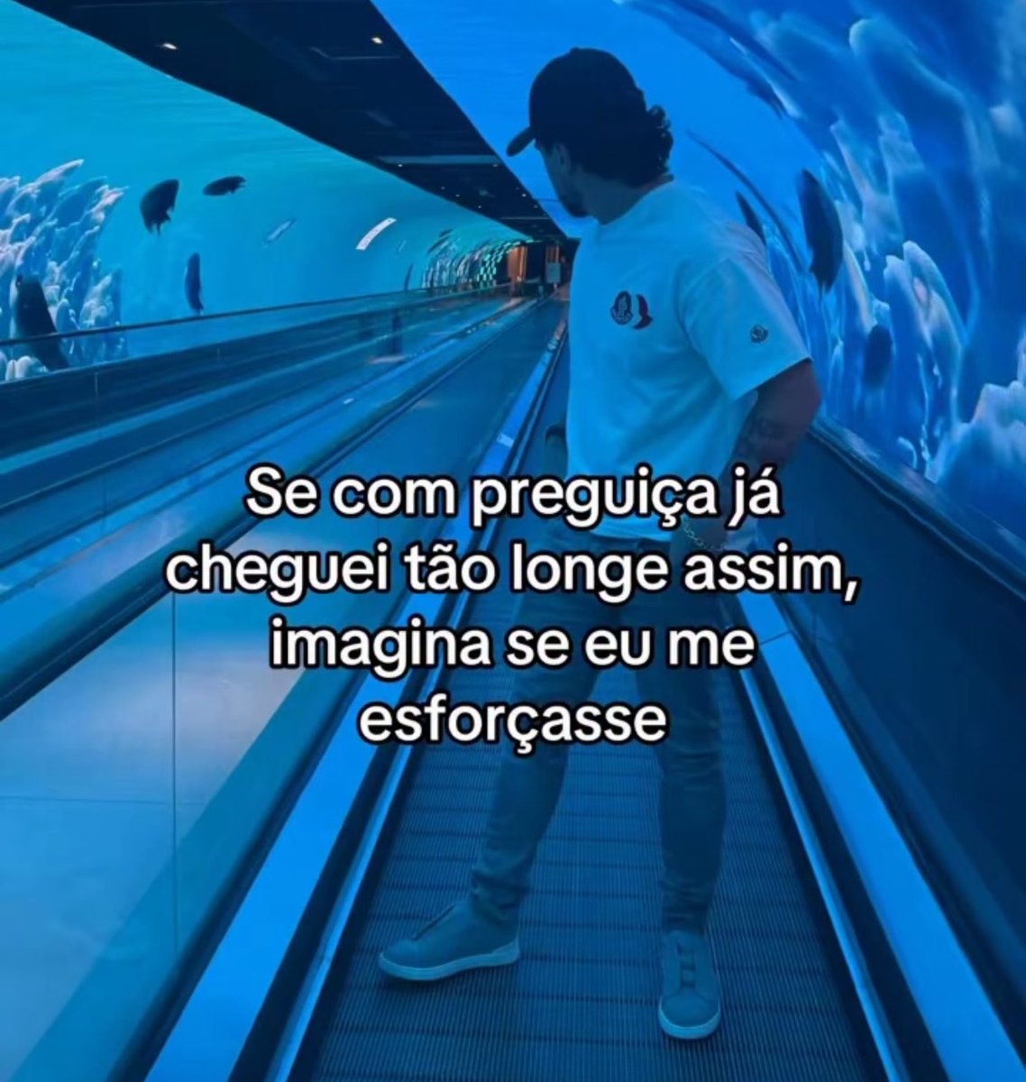 sincera (@eisincera) on Twitter photo 