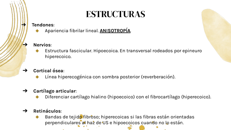 Formación en La Calzada tweet media