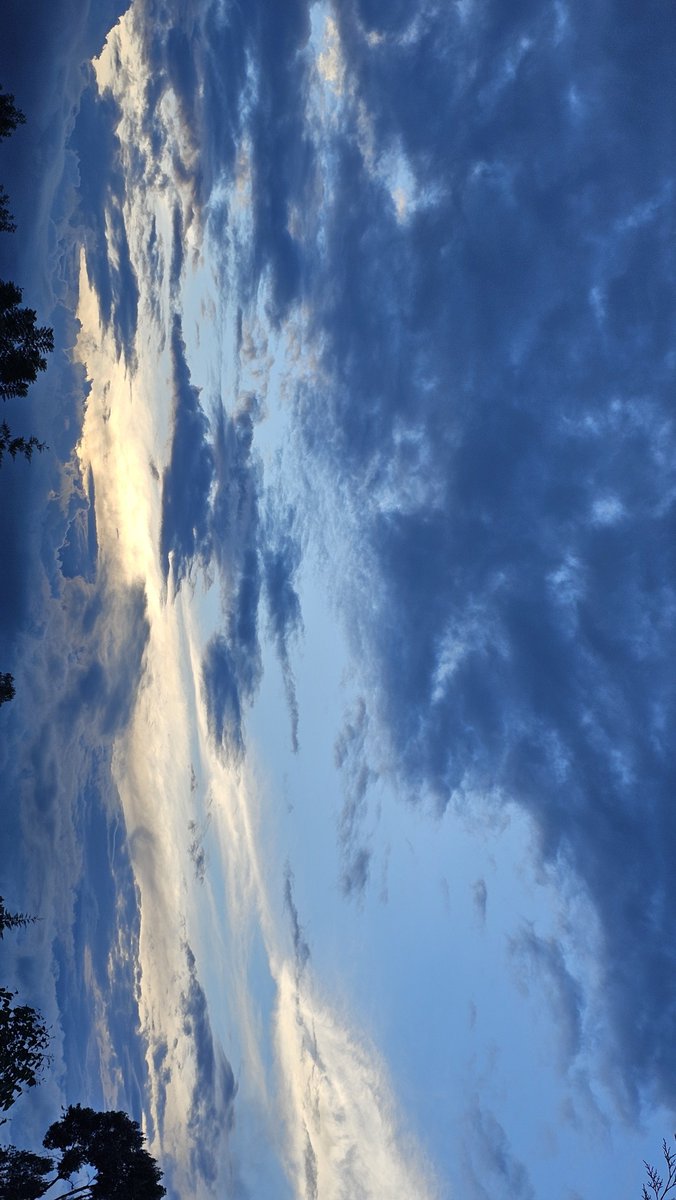 lionlegacyfit's tweet photo. Today I walked 8065 steps https://t.co/pPRrAx31Qe
